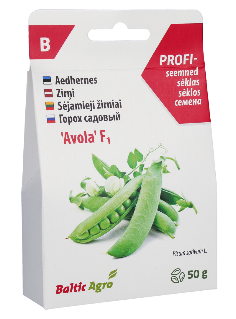 hernes-avola-50-g-b-1-hernes-avola-50-g-b-2