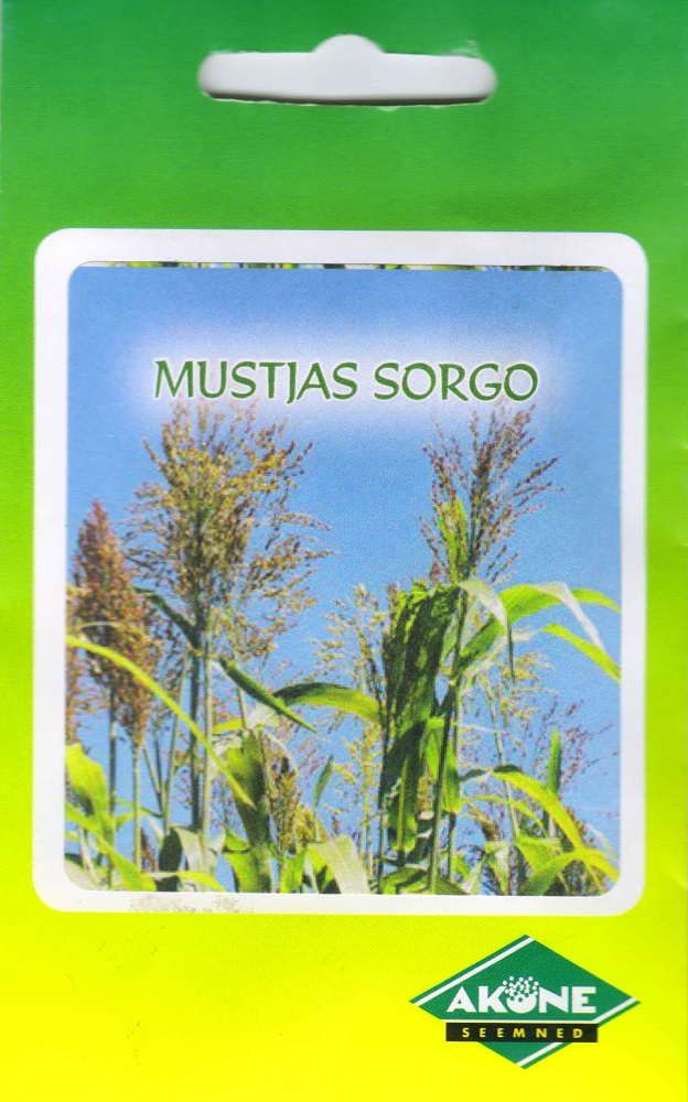 sorgo_a