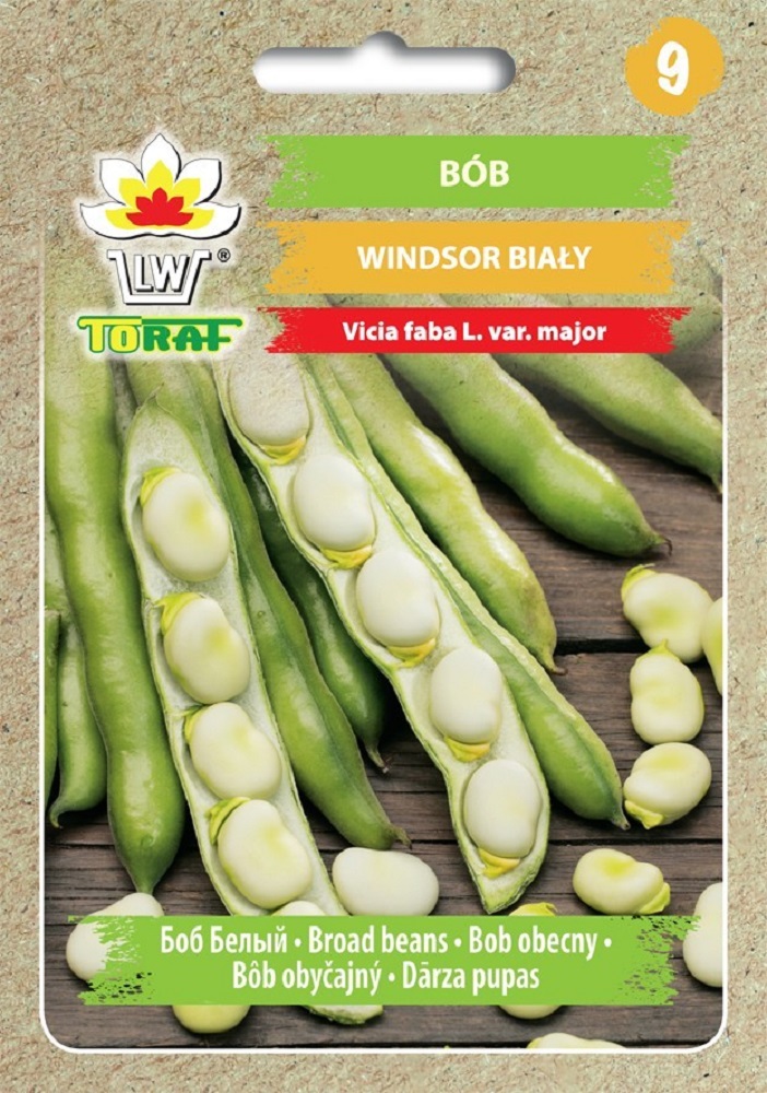 Polduba_Windsor_Toraf
