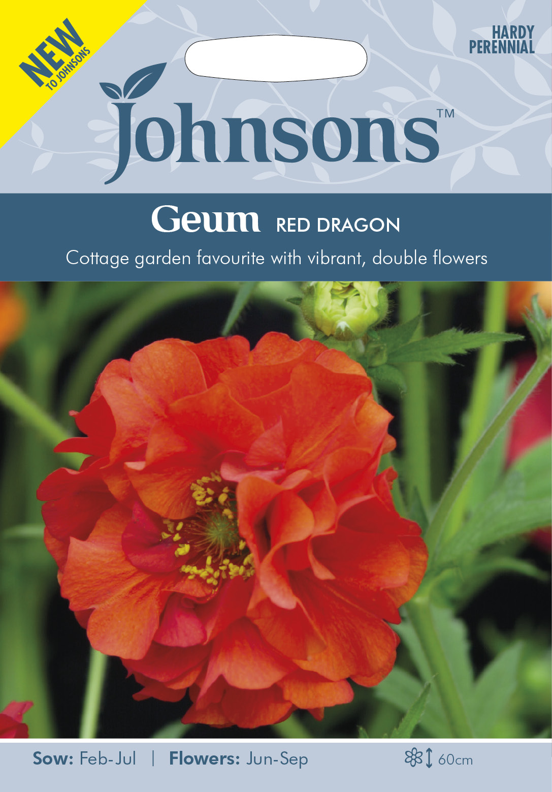 geum_RedDragon_John