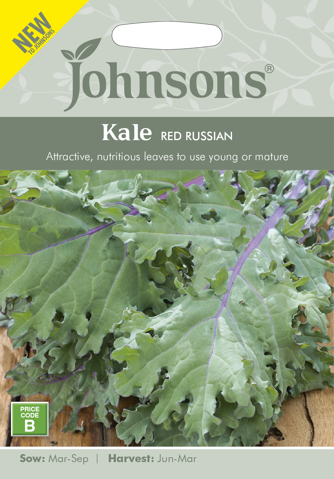 lehtkapsas_RedRussian_John
