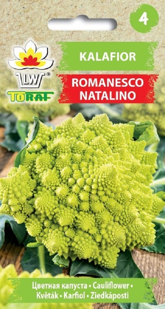 lillkapsas-romanesco-natalino_toraf