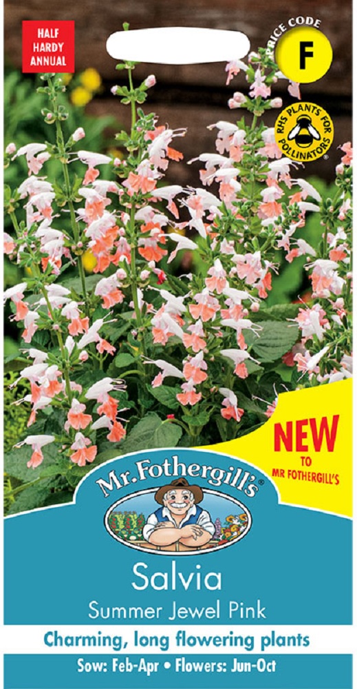 salvia_coccinea_MrF