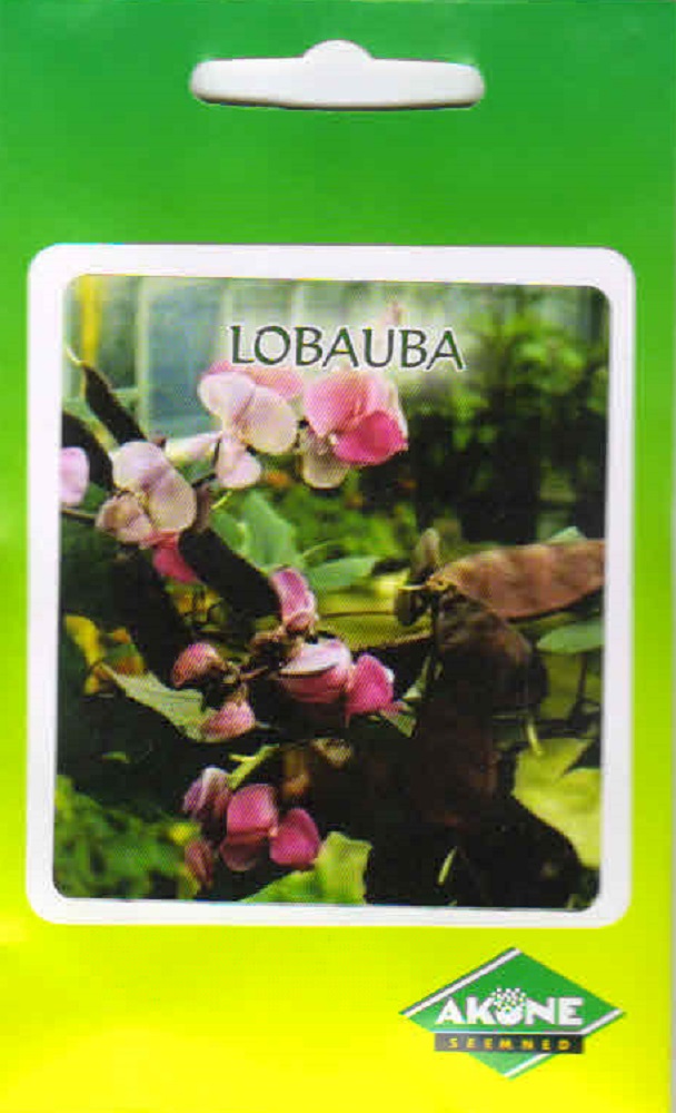 lobauba_A