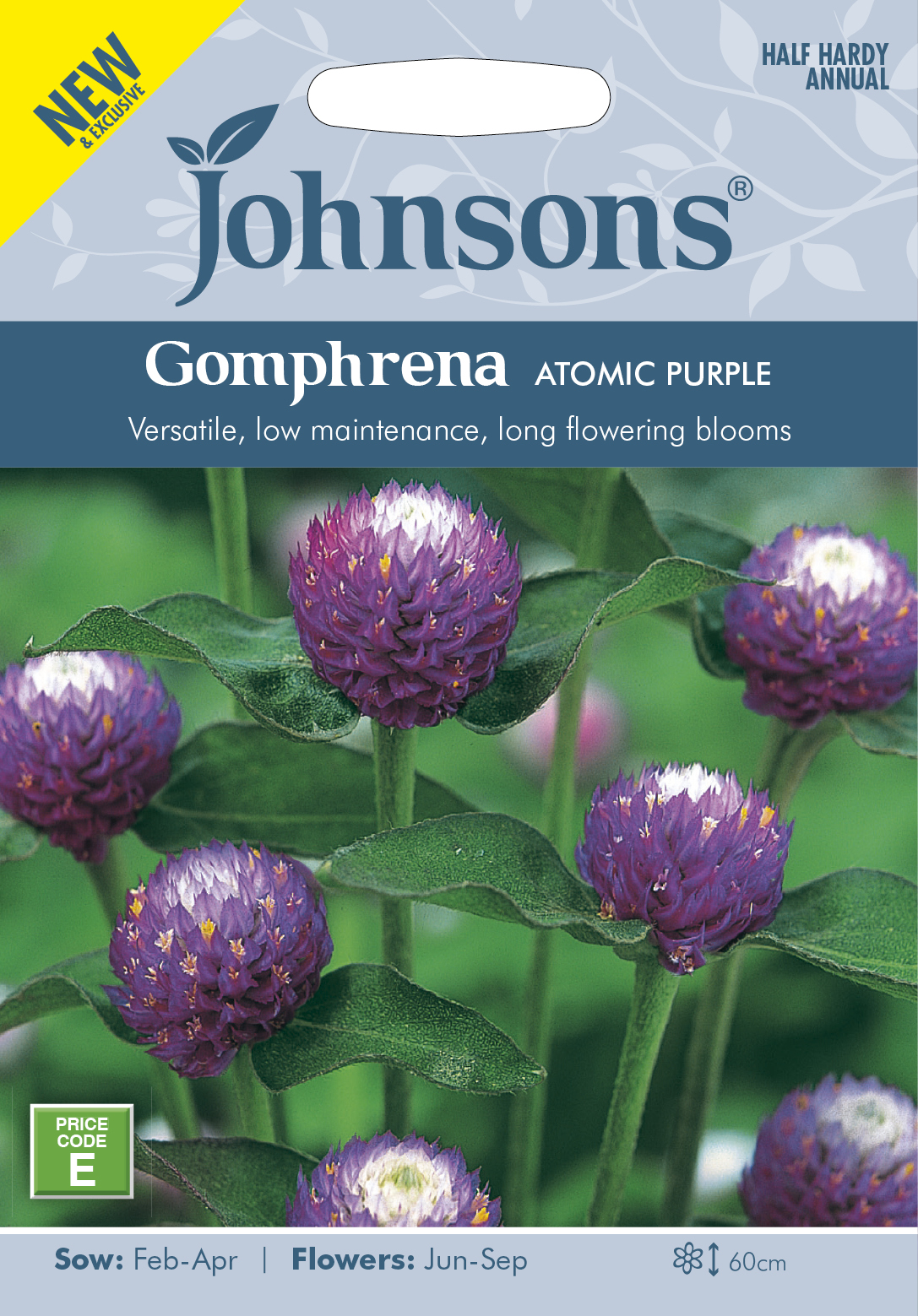 Gomphrena-Atomic-Purple_John