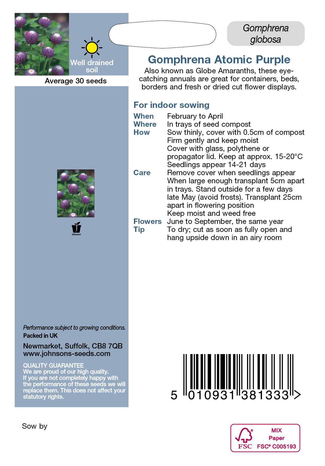 Gomphrena-Atomic-Purple_John2