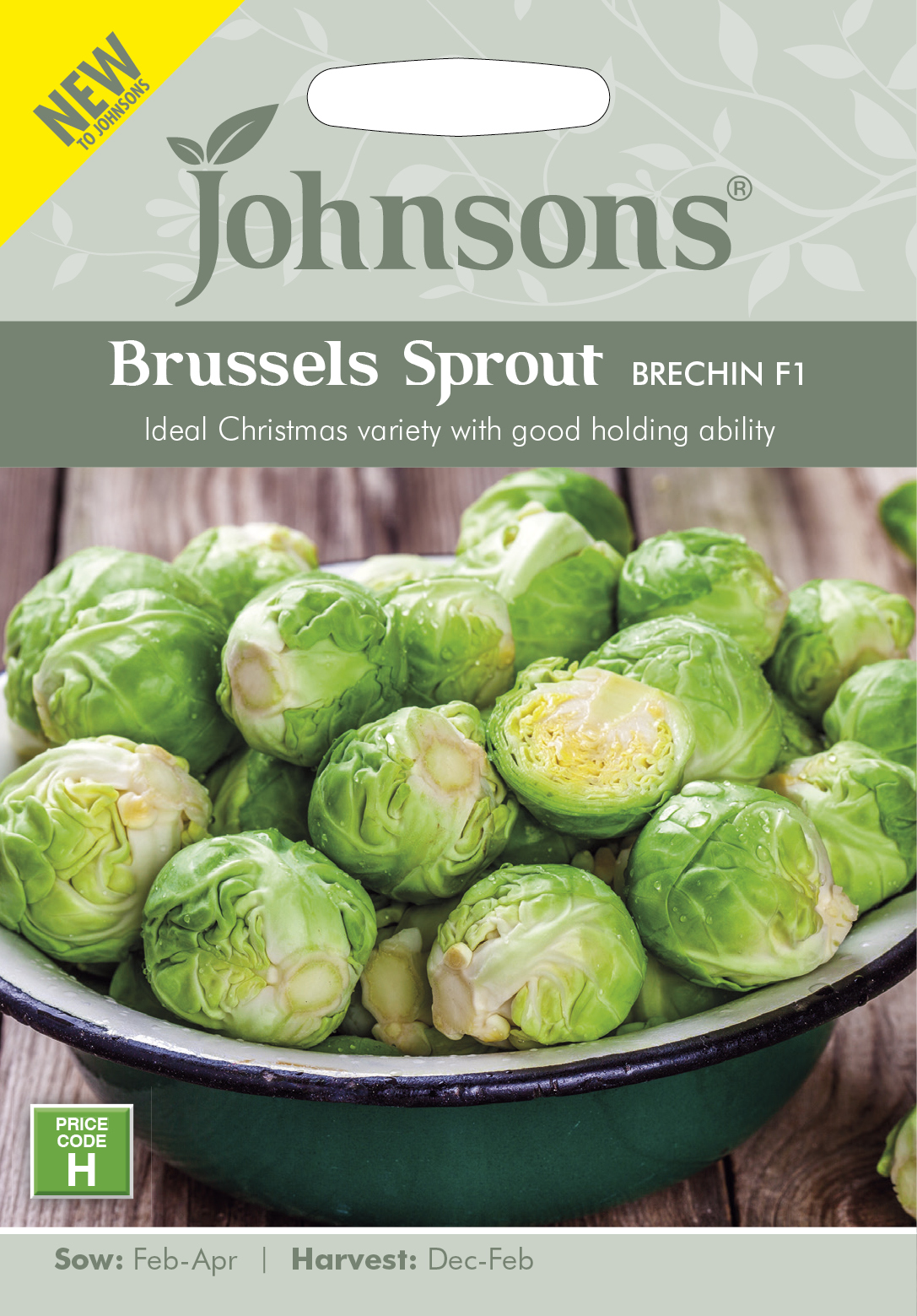 Brussels-Sprout-Brechin-F1_john1
