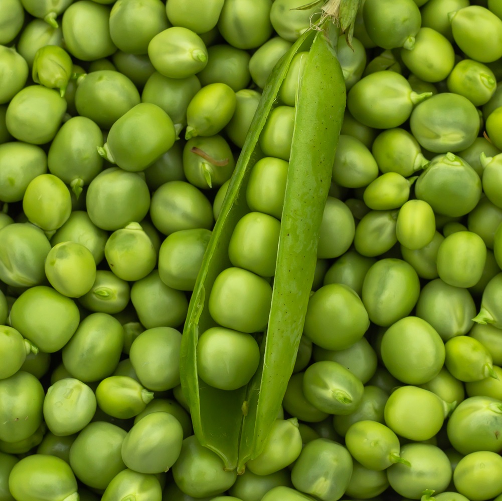 Green,Peas.,Green,Background.,Green,Pea,Top,View,Copy,Space.