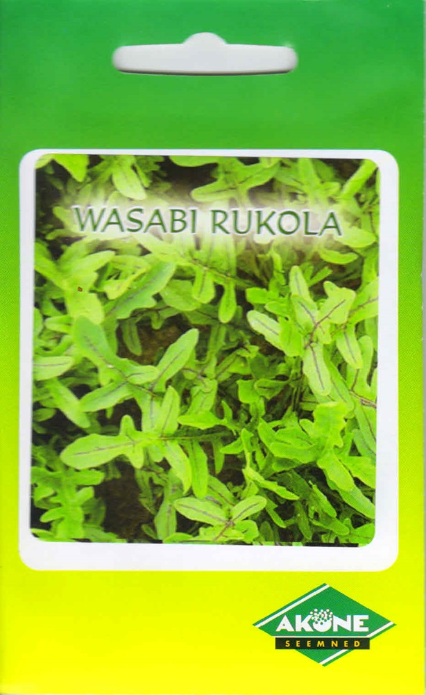 rukola-wasabi_A