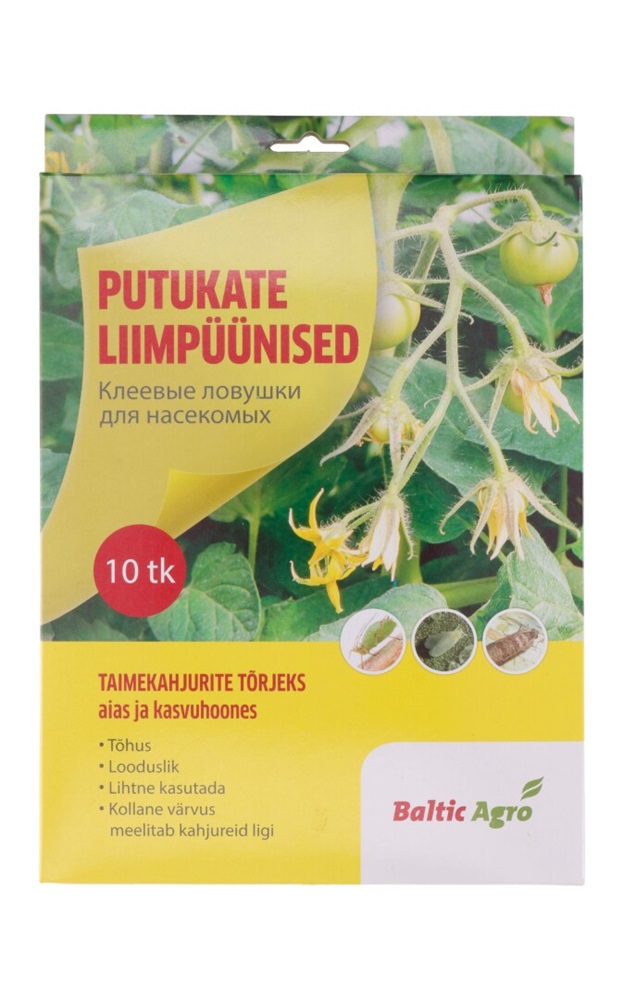 kollane liimpüünis õue