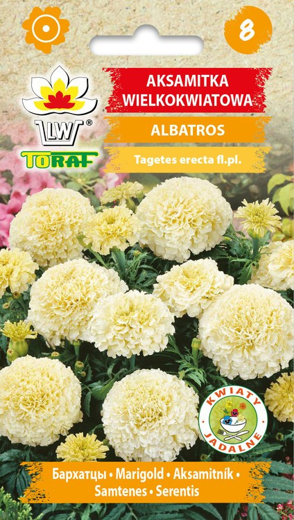 tagetes_albatros_Toraf