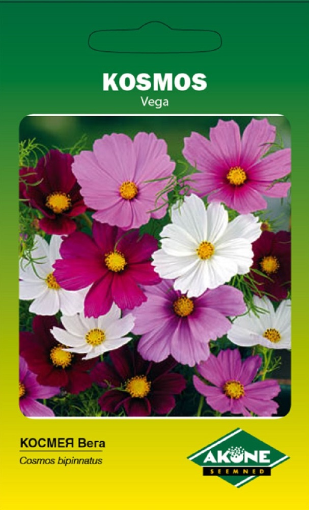 cosmos_vega_a