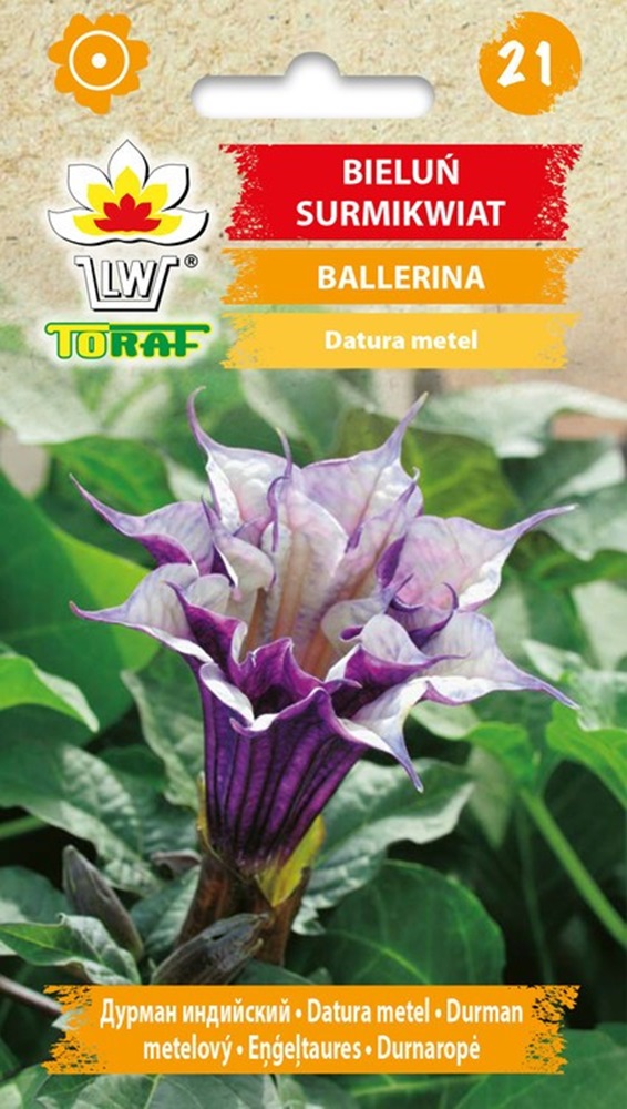 datura_toraf