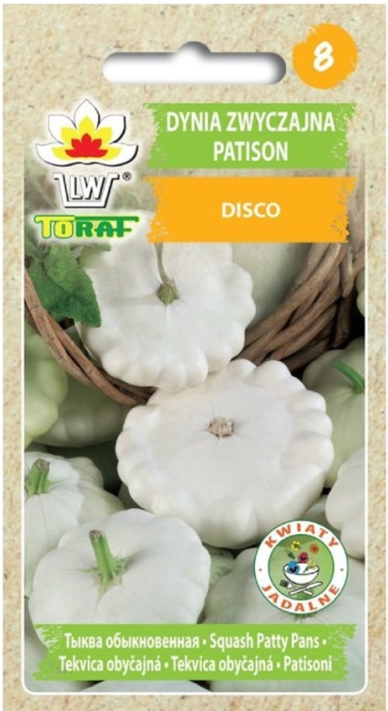 korvits_disco_toraf