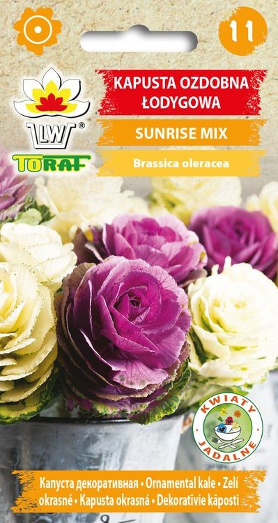 dekoratiivkapsas_sunrise_t